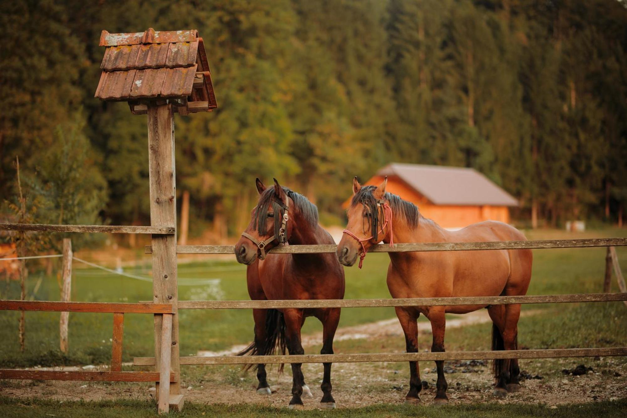 Ranc Mackadam Ranch Mackadam Villa Tržič Kültér fotó